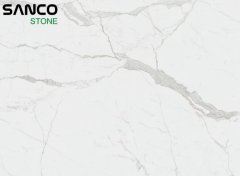 Calaeatta White Marble